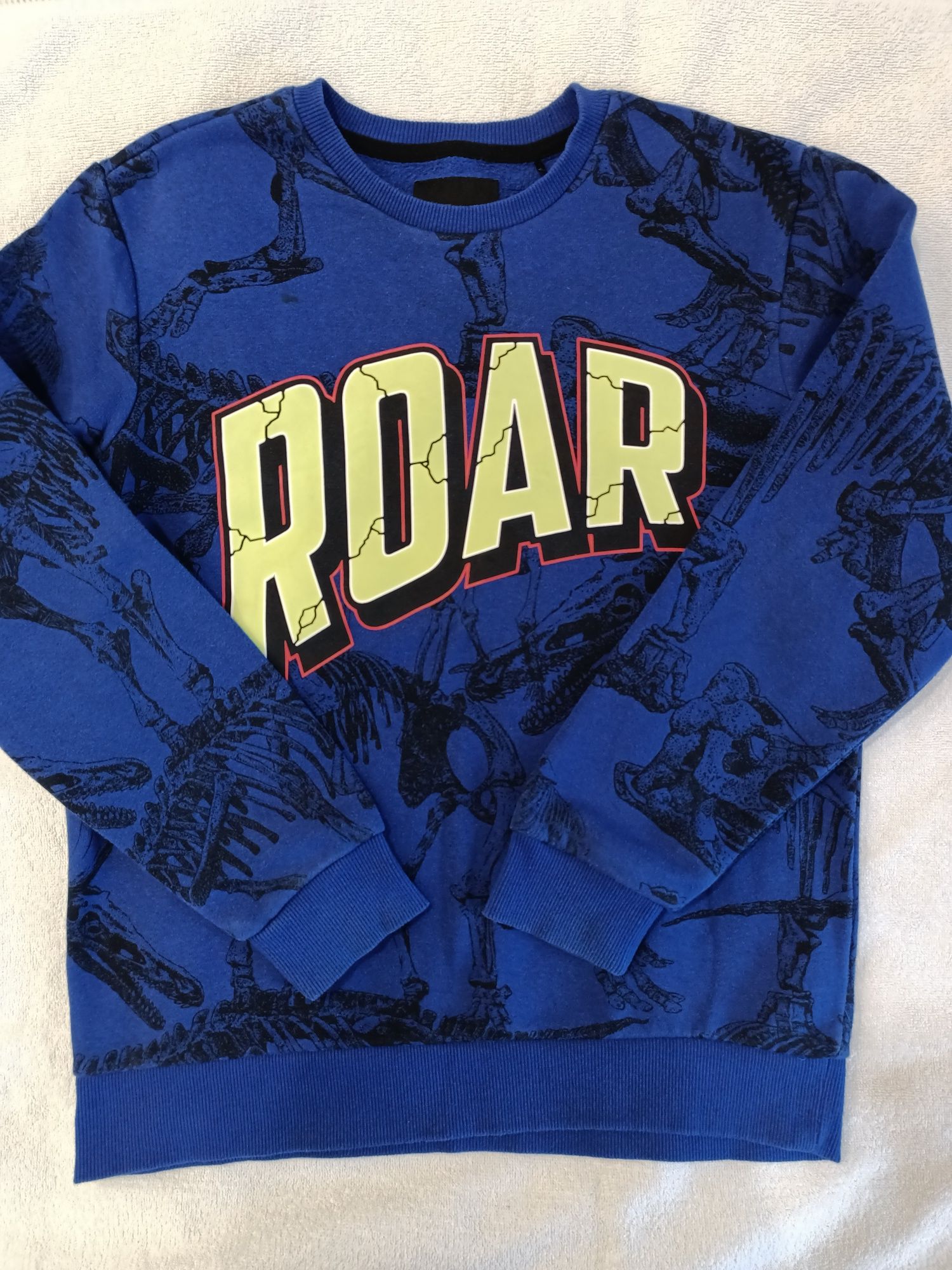 Bluza dinozaury Dino Reserved 146 152