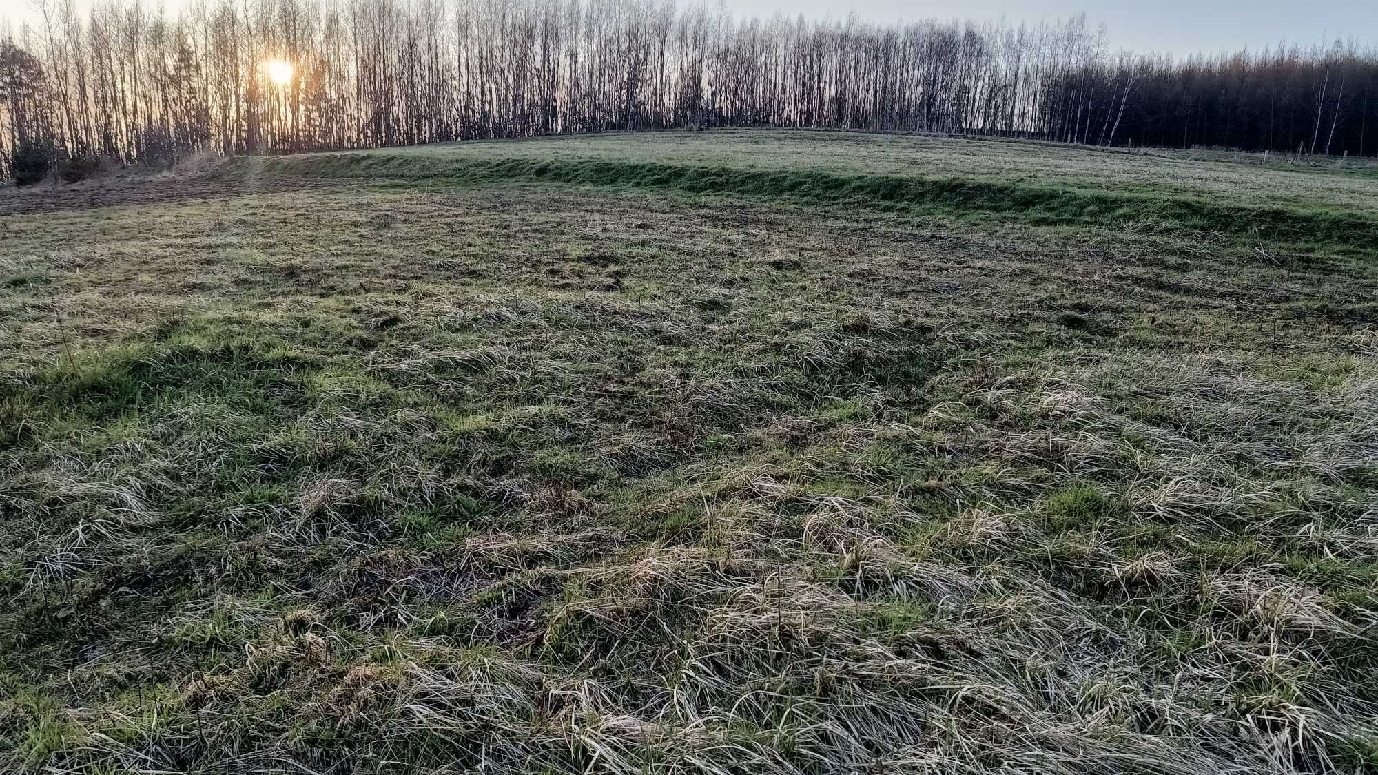 Działka budowlana k. Rzeszowa, dobra lokalizacja, wszystkie media