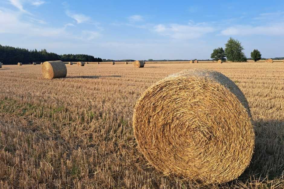 Sprzedam słomę!!!