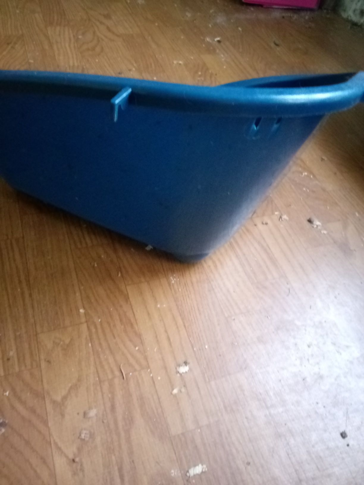 Oddam akcesoria dla królika i świnki morskiej