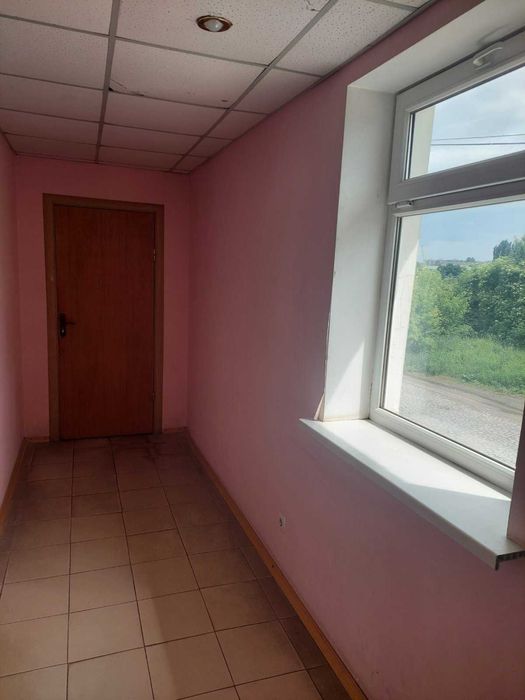 (5)   Здам в оренду офісне приміщення на Замості 6470