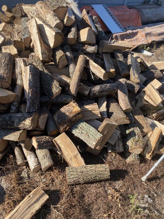 Продам дрова ДУБ