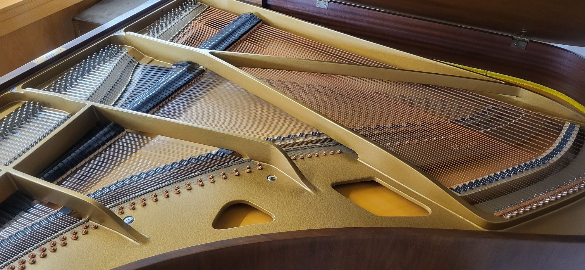 Grotrian Steinweg M185 renner Fortepian dla konesera Germany