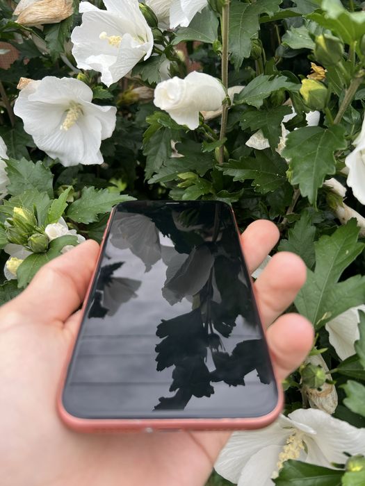 Розборка, запчастини Iphone Xr є чиста плата!!