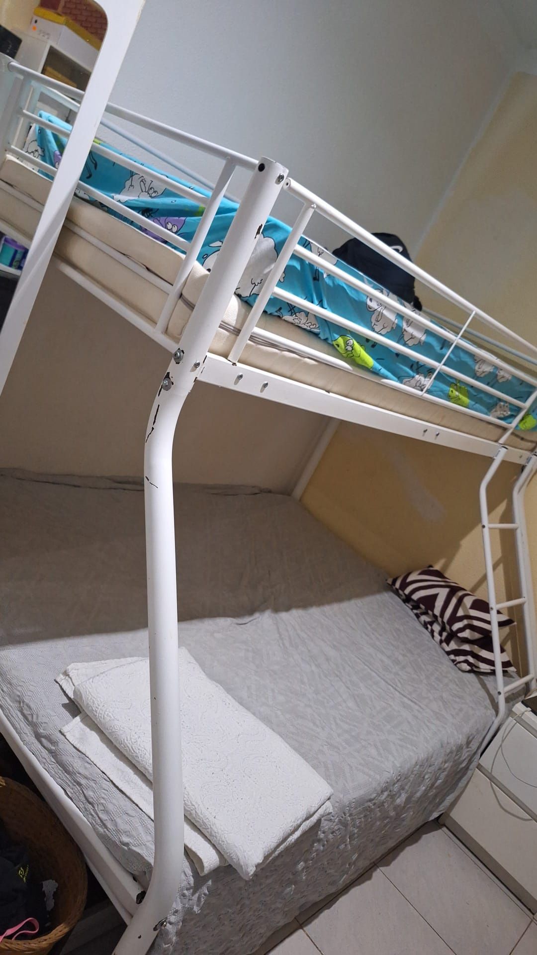 Bicama casal e solteiro