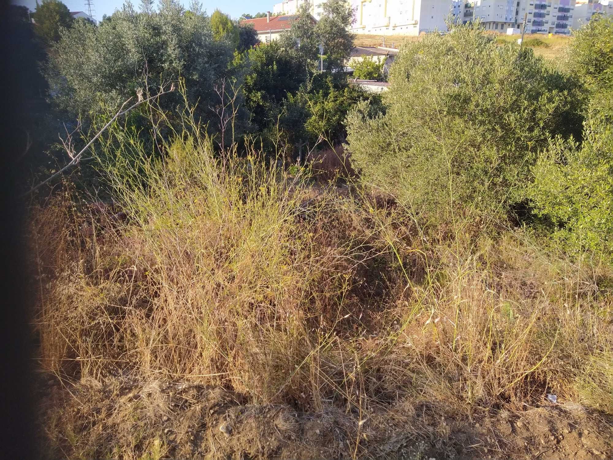 Vendo terreno em são João da talha