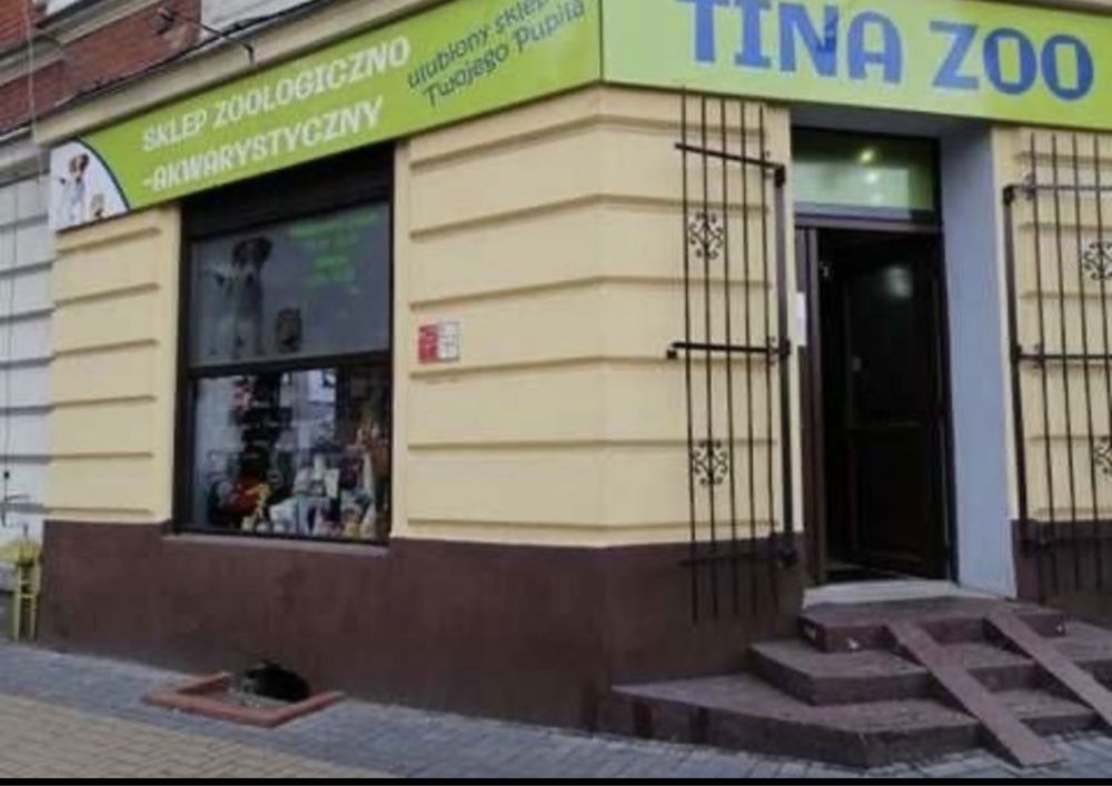 Garra Rufa- TINA ZOO- Gliwice Witkiewicza