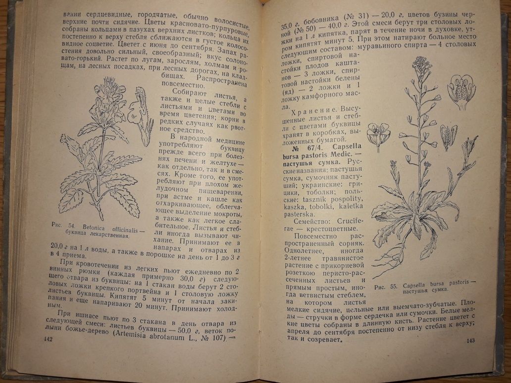 Лекарственные растения и способы их применения в народе М.А.Носаль1960