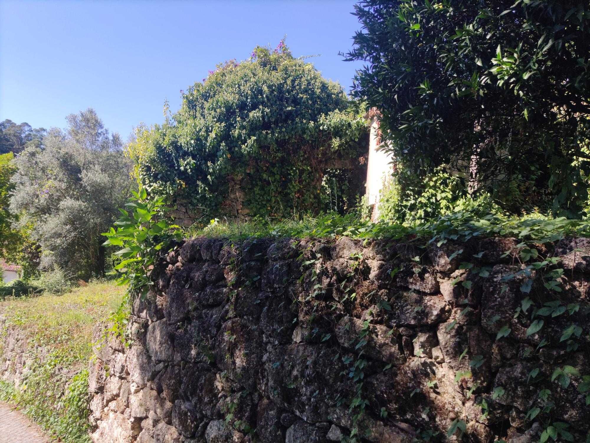 Terreno com duas casas devolutas