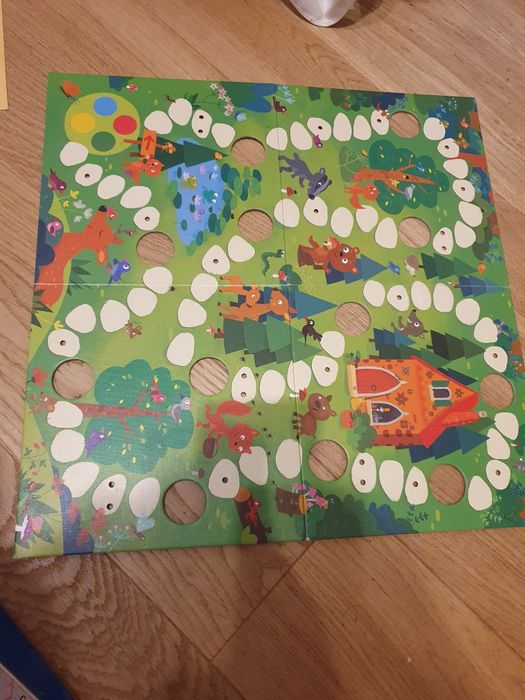 Grzybobranie w zaczarowanym lesie