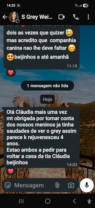 Estadia familiar canina creche