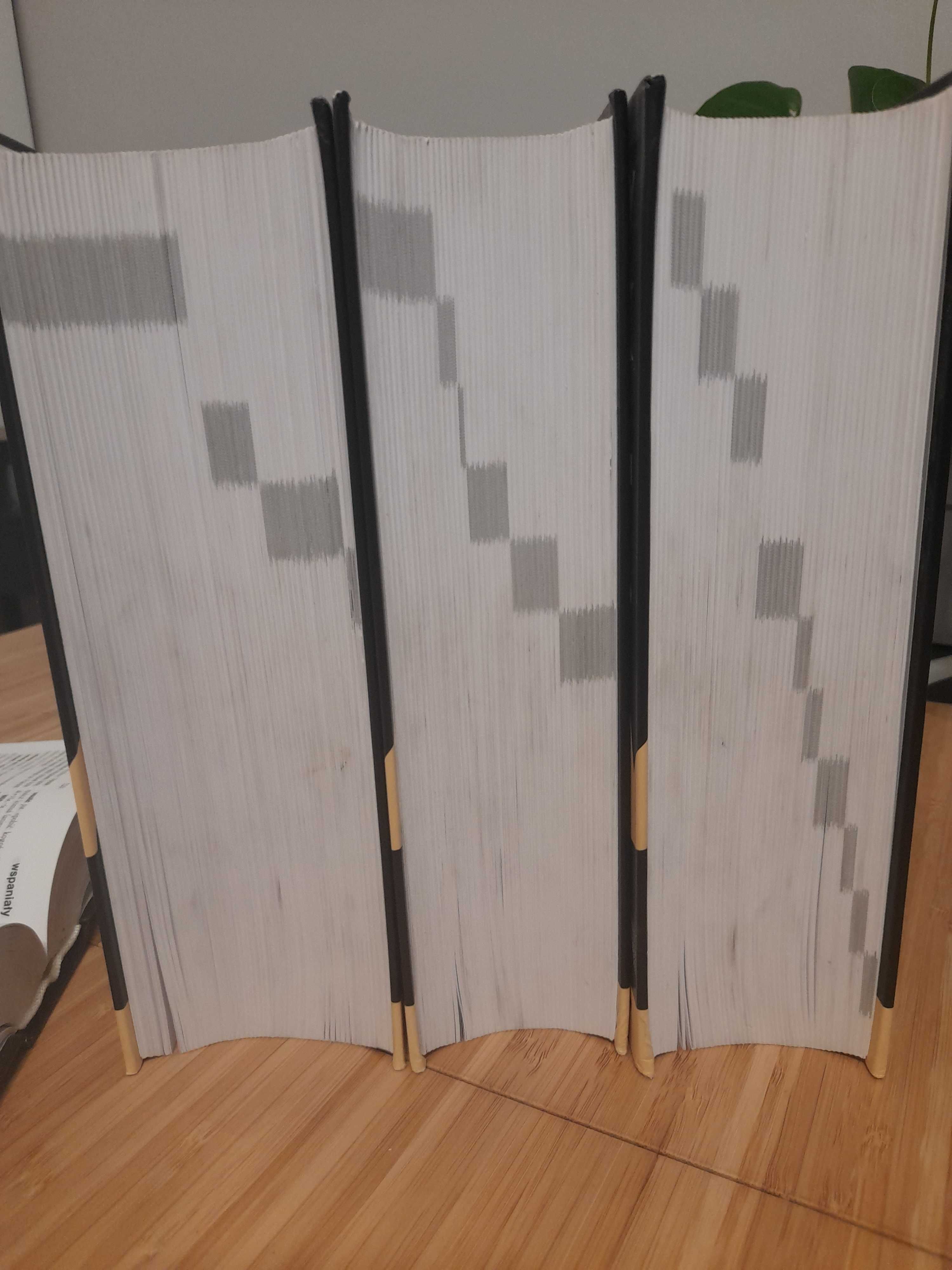 Uniwersalny słownik języka polskiego PWN, 4 tomy