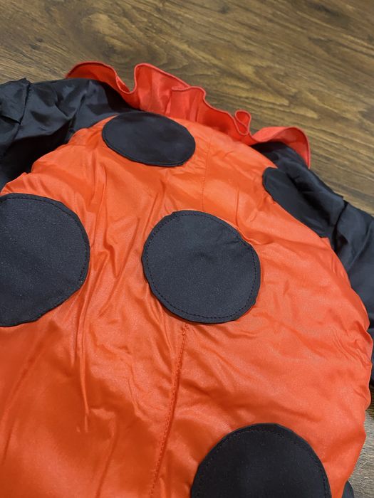 Новорічний костюм божої корівки