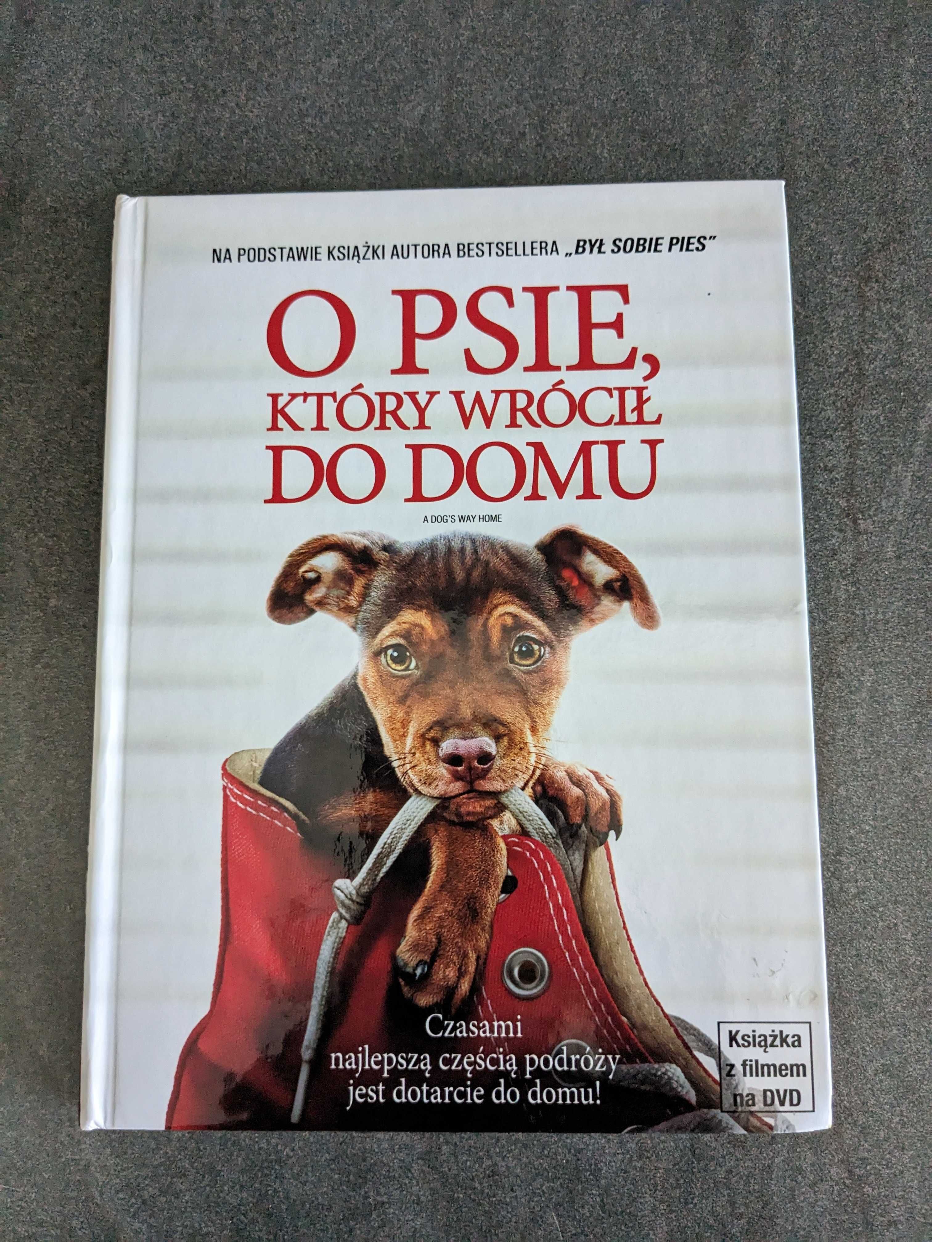 Płyta DVD " O psie który wrócił do domu"