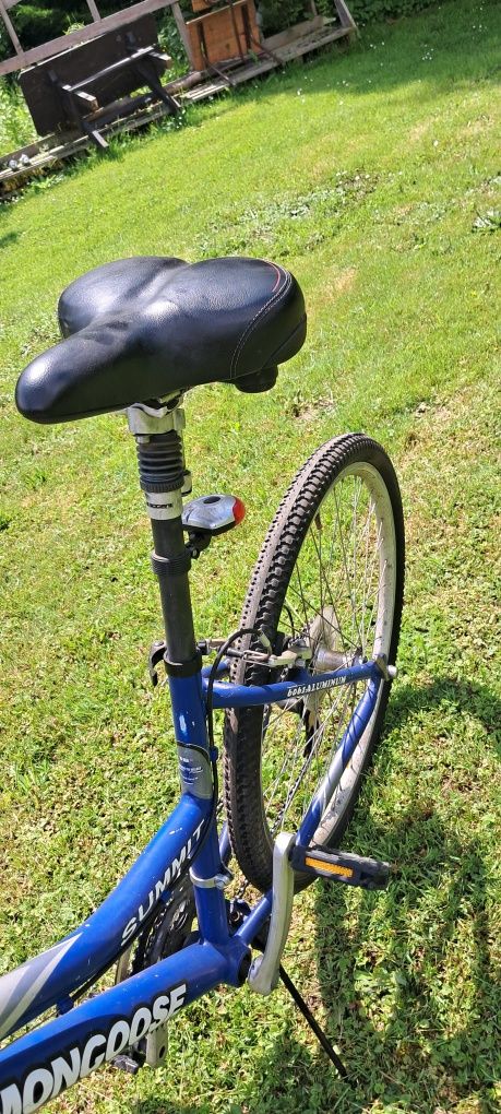 Rower summit mongoose