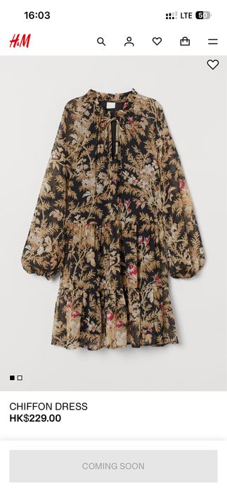 Жіночі сукня H&M