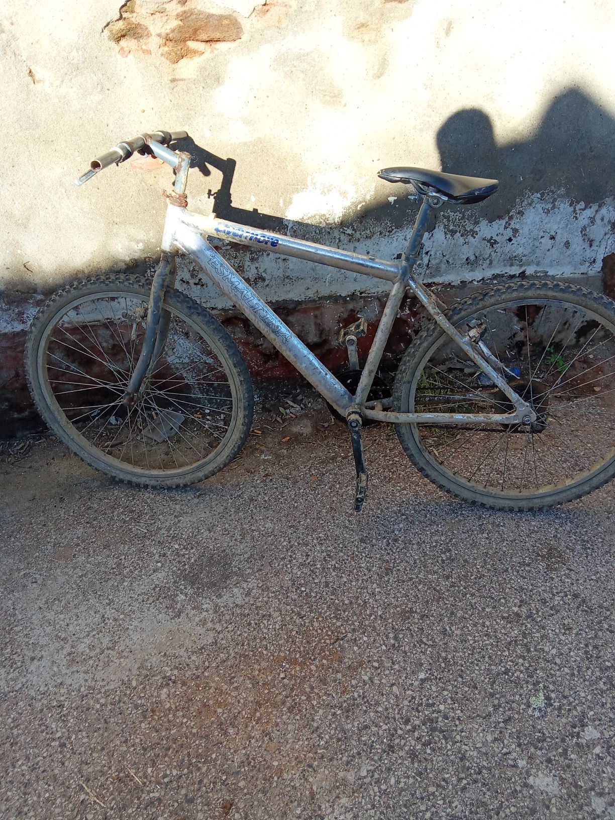 Vendo bicicleta para desocupar