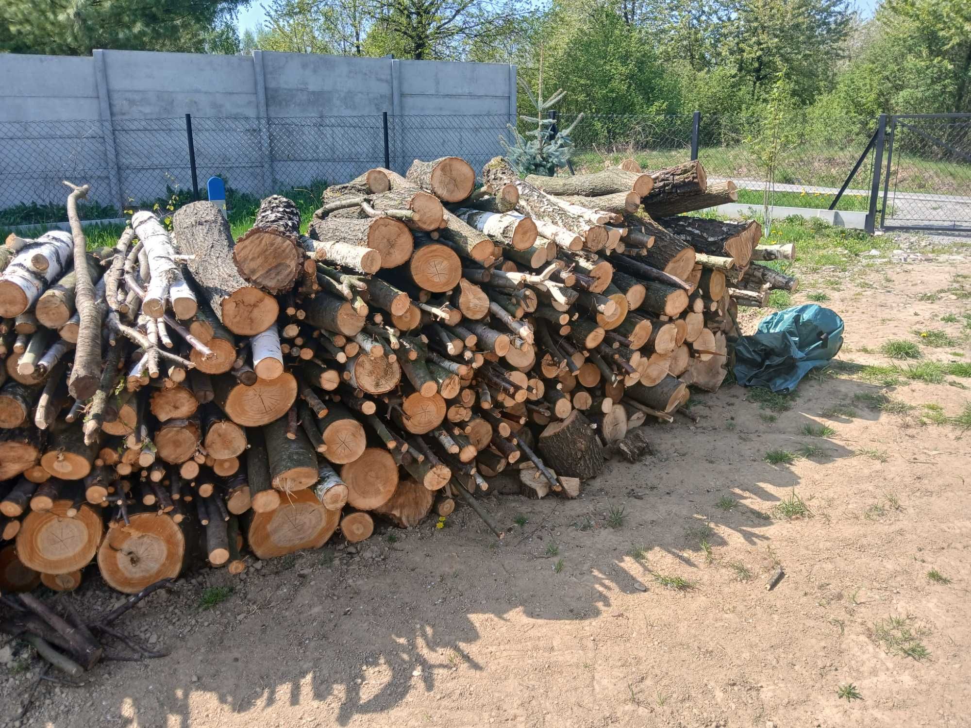 drewno opałowe, brzoza, trzesnia, jesion, klon