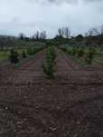 Vendo terreno agrícola