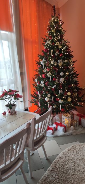 Ялинка лита Віденська 2,5 метри