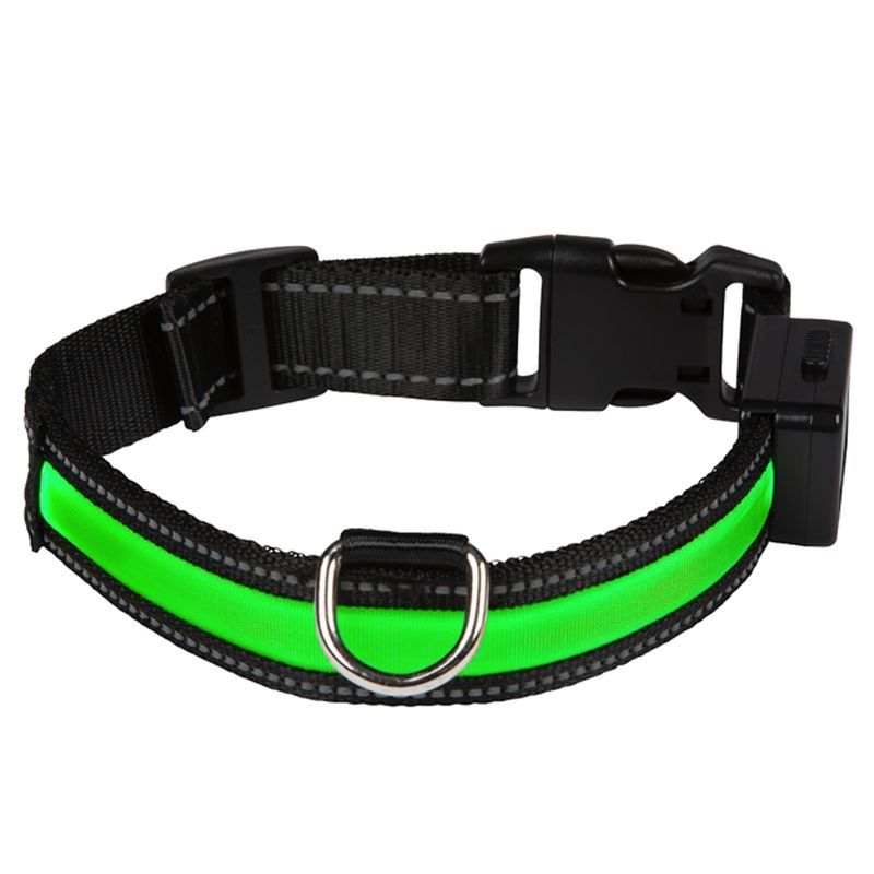 Eyenimal obroża LED dla psa, zielona