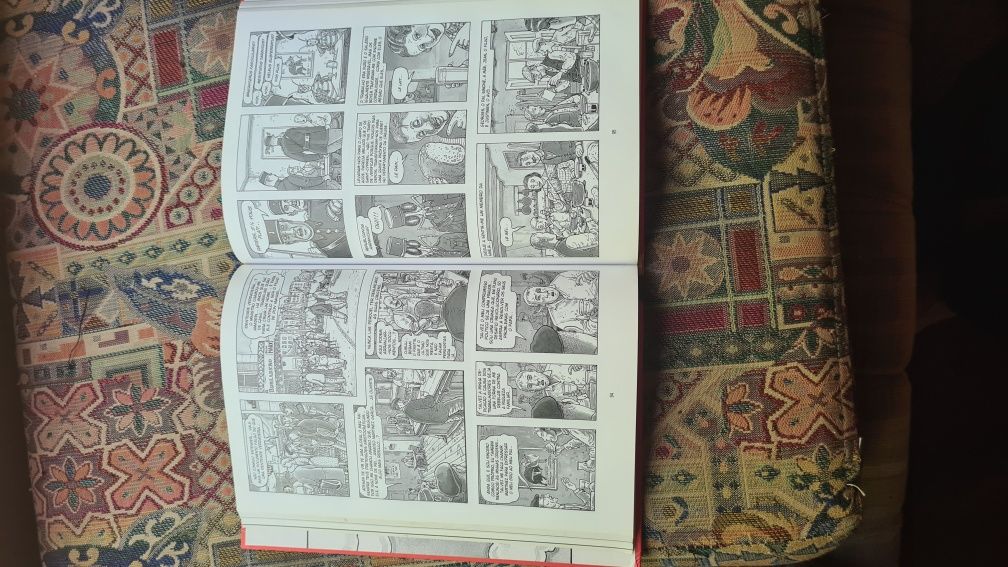 Novela Gráfica "A Arte de Voar".