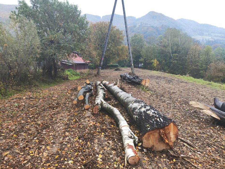 Drewno opałowe mieszane