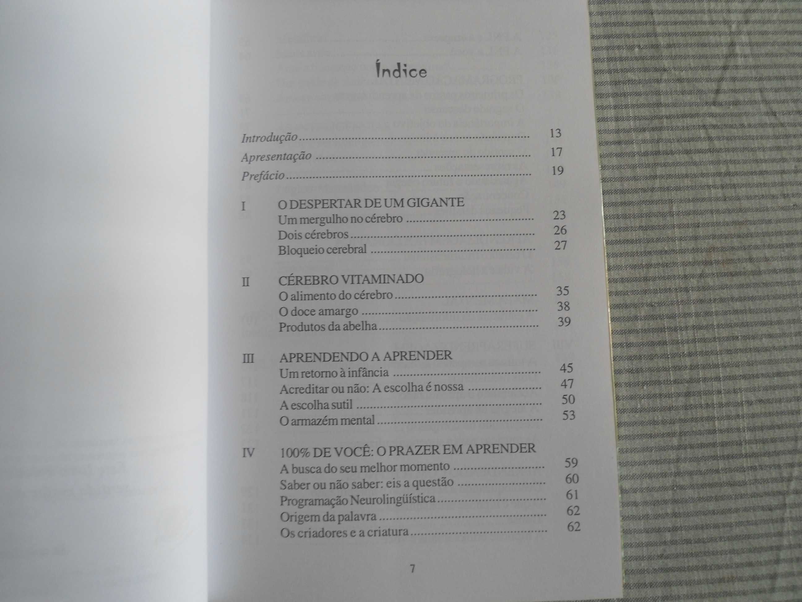 Aprendendo na velocidade do pensamento de Odair José Comin