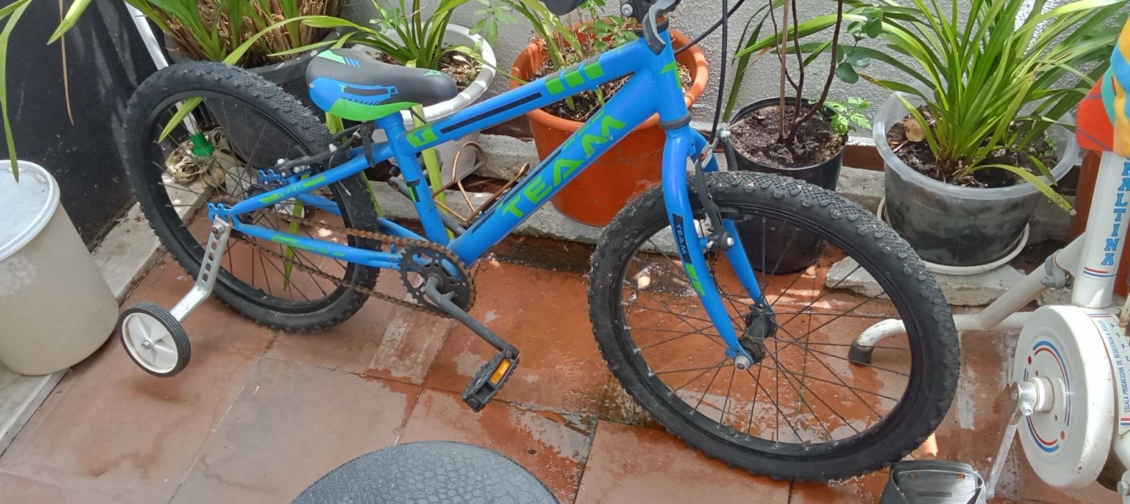 Bicicleta criança roda 20