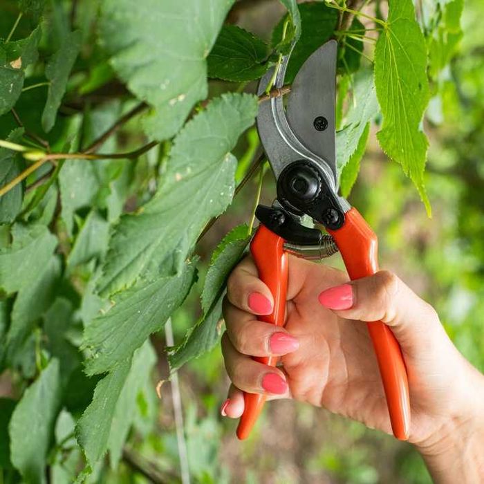 ZESTAW 3 sztuk SEKATOR do GAŁĘZI do ŻWYOPŁOTU Nożyce Ogrodowe