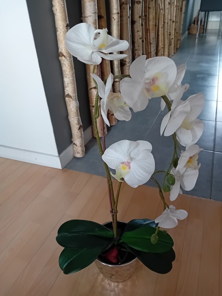 Ikea fejka orchidea biała kwiat storczyk 60 cm