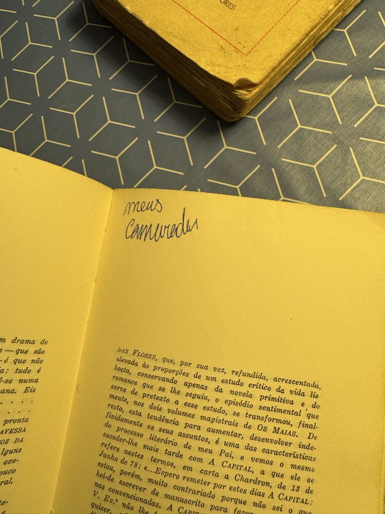Lote de 3 livros antigos de Eça de Queiroz