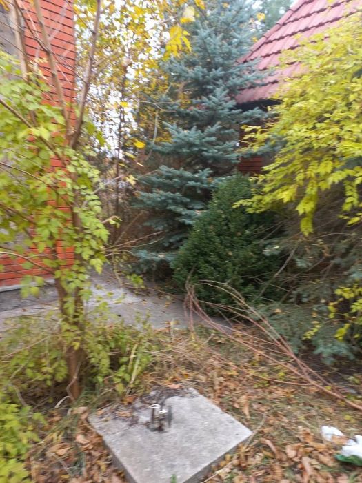 Земельна ділянка з будинком та гаражем неподалік від річки Богатирівка