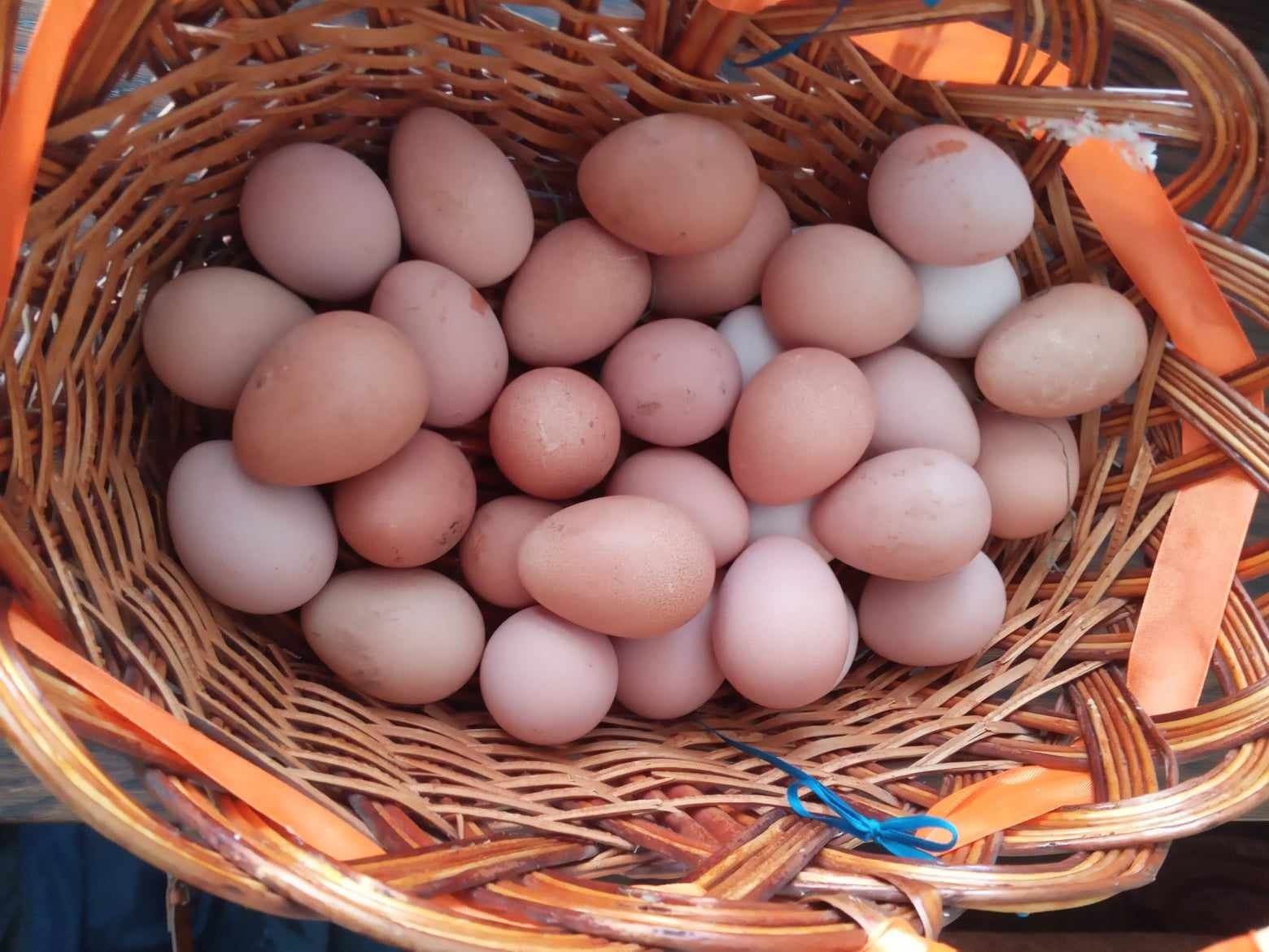 Яйця цесарки інкубаційні