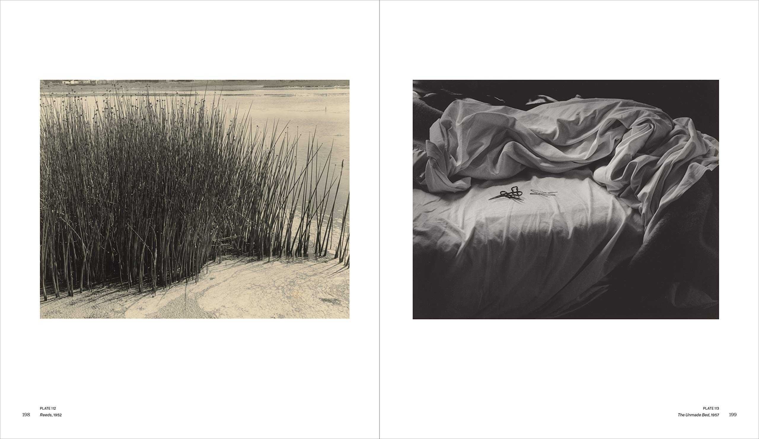Книга - фотоальбом A Retrospective. Imogen Cunningham.