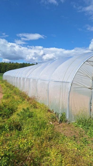 Sprzedam tunel foliowy