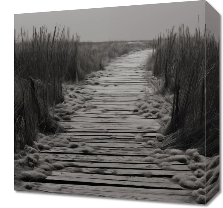 Obraz 40x40cm Ścieżka Ciszy Wydm