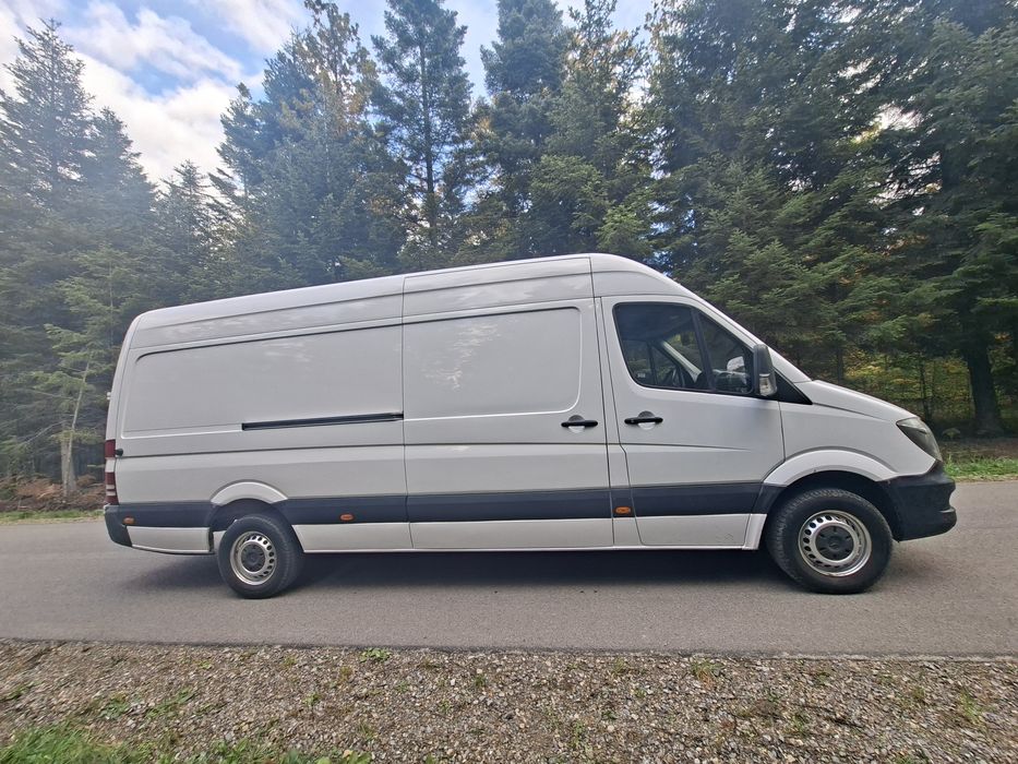 Mercedes Sprinter 906 Bus 316