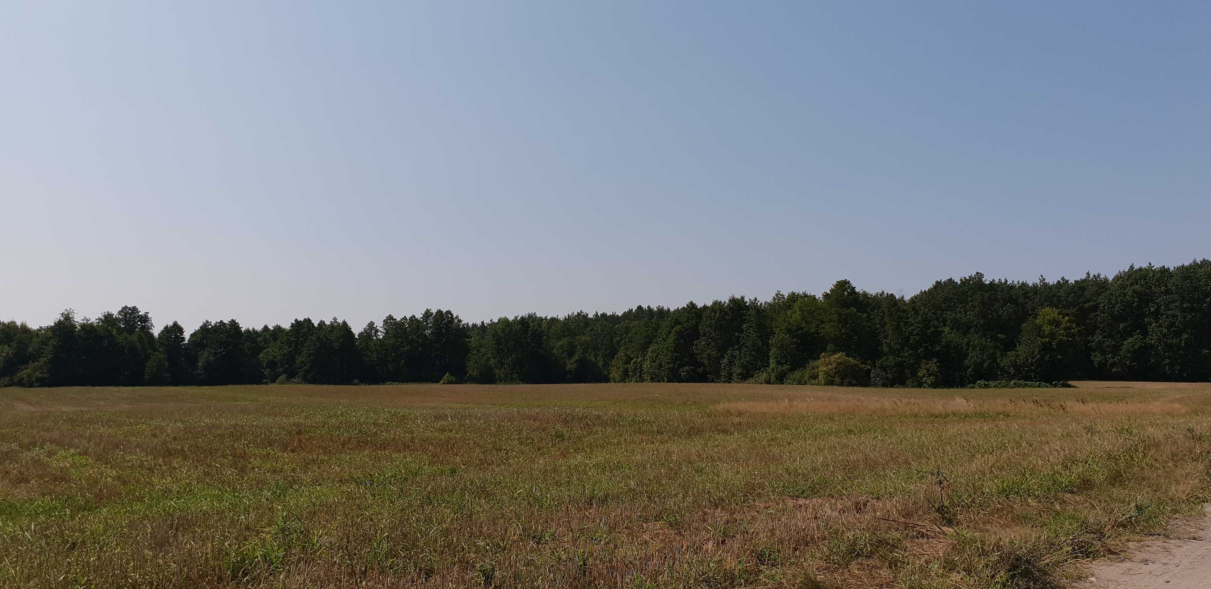 ziemia rolna 10,98 ha ( 2,5 km do pięknego jeziora Orłowskiego )