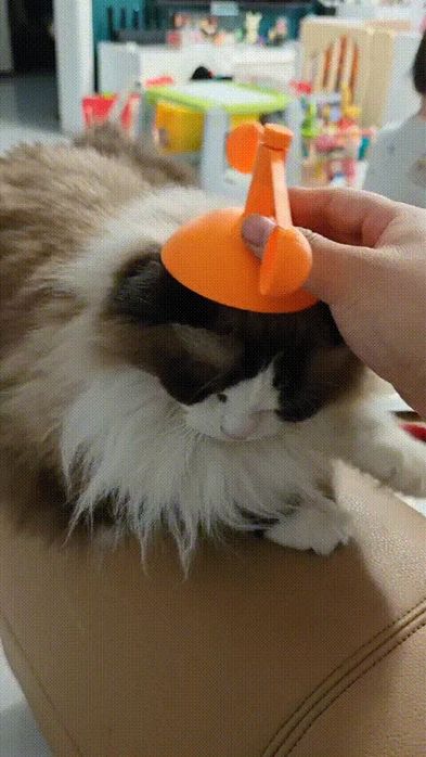Chapéu Rotativo para Gatos (Lembrança Divertida!)