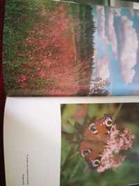 Альбом фото природа на польском "В лесу" W kniei. 1980 В. Лапинский.