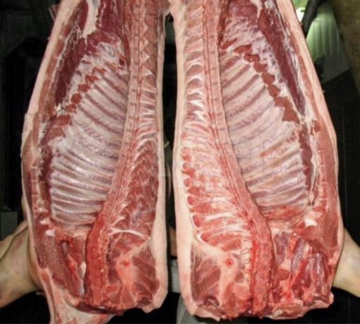 М‘ясо свині домашнього годування М‘ясна порода