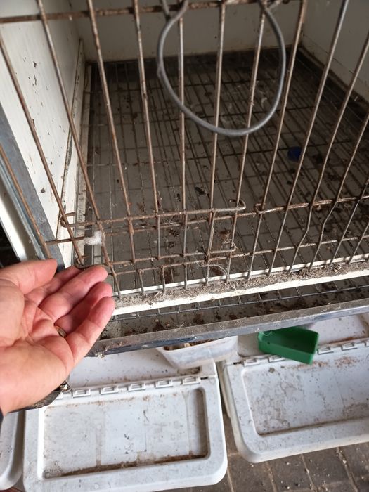 Gaiola ideal para criar à mão