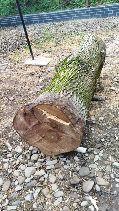 Продам горіха на дошку.