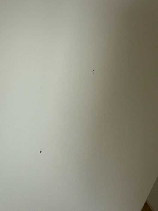 Stolik i krzeselka dla dzieci