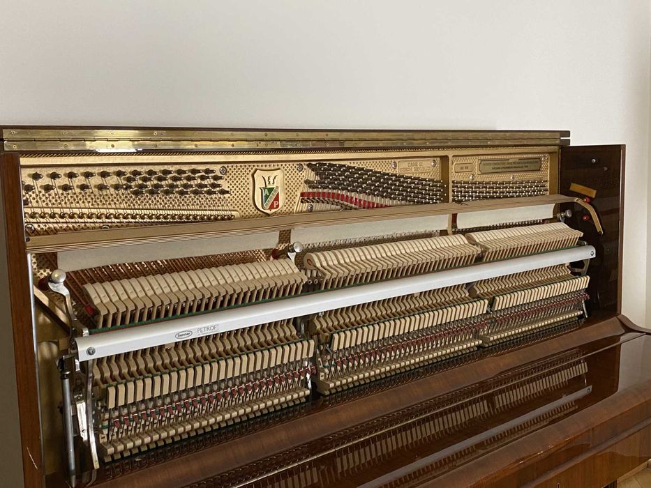 Wspaniałe pianino Petrof P125 G1