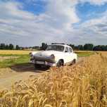Wołga GAZ-21 sprawna z papierami