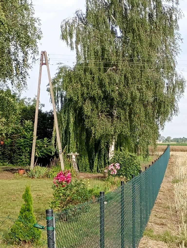 Dom wolnostojący