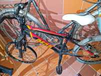 Várias bicicletas e Quadros