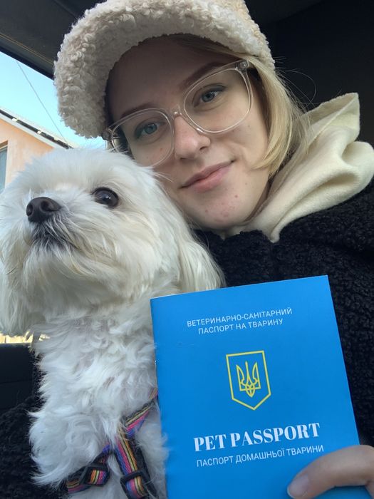 Перетримка тварин / документи для тварин / перевезення тварин